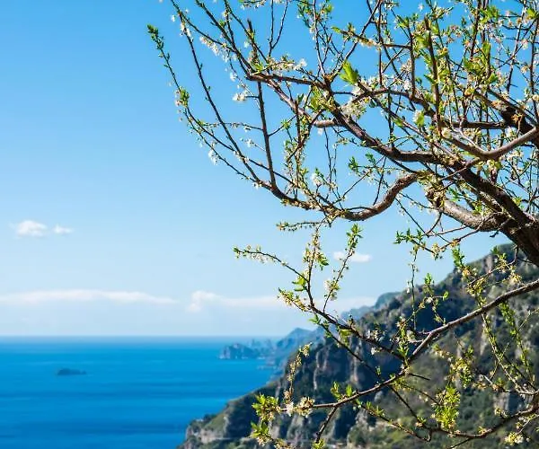Yourhome - Casa Ivi * Positano